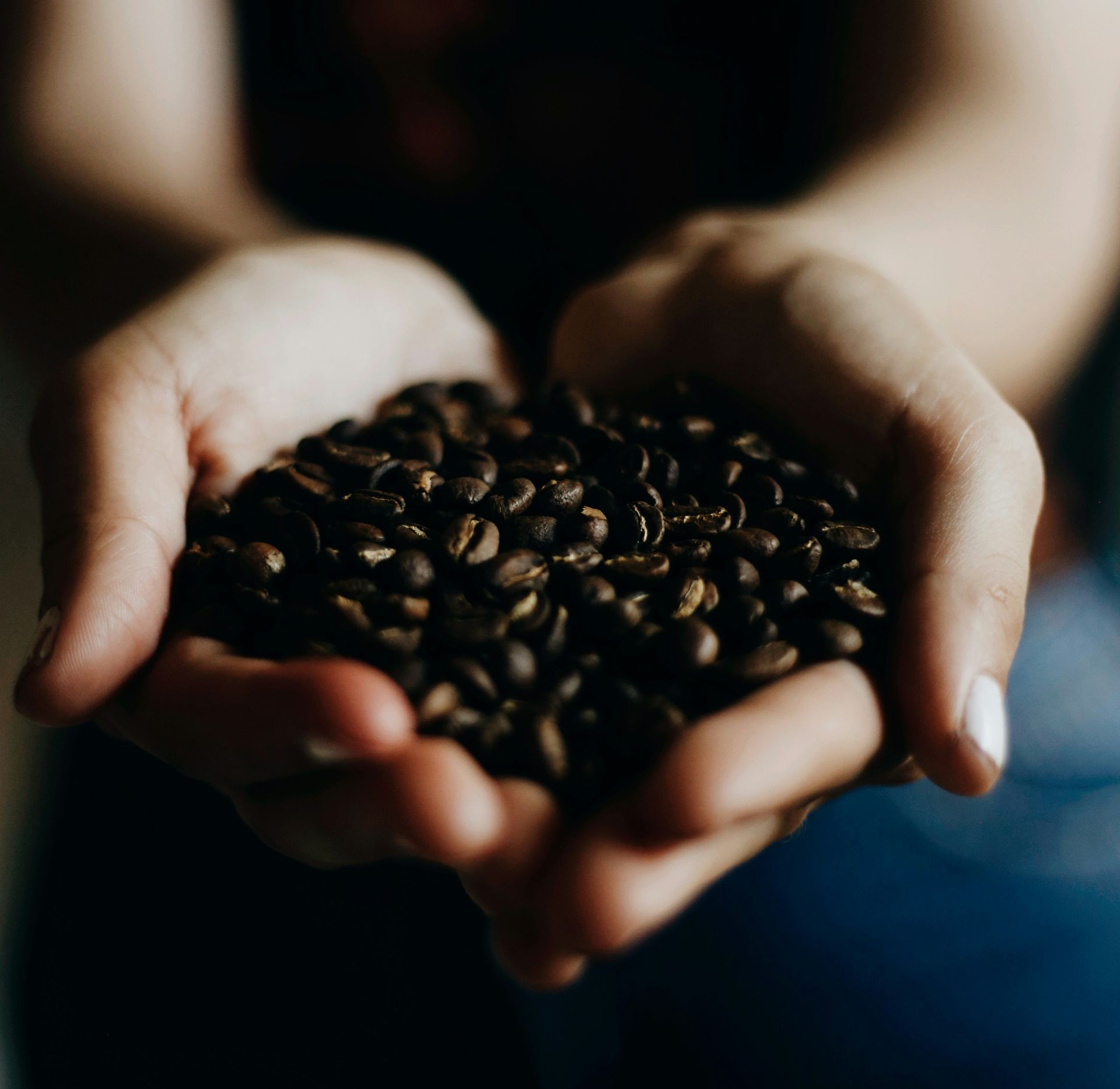 Roasted coffee beans Roasted coffee