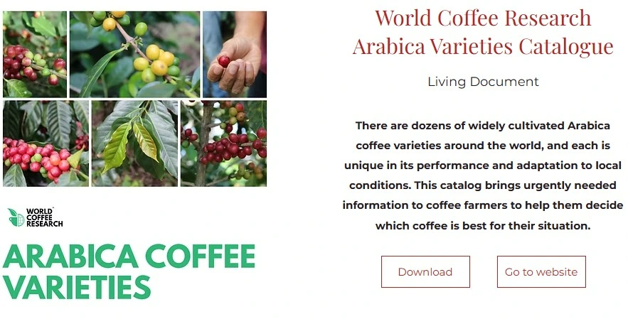 Australian Coffee Growers Assoc screenshot